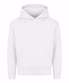Arctic White