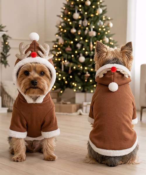 Dog’s reindeer hoodie